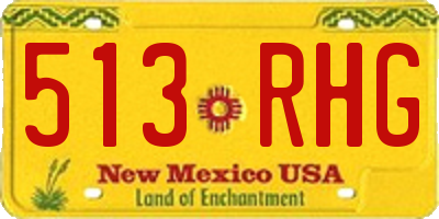 NM license plate 513RHG