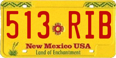 NM license plate 513RIB