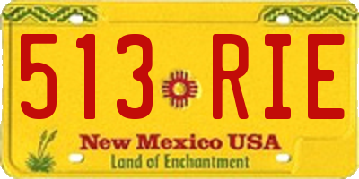 NM license plate 513RIE