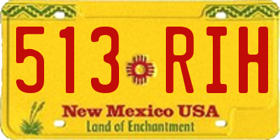NM license plate 513RIH