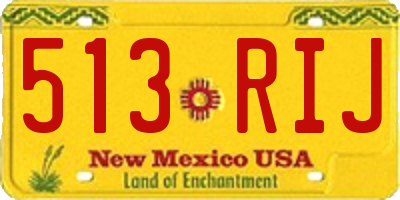 NM license plate 513RIJ