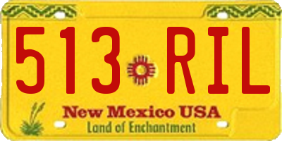 NM license plate 513RIL