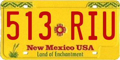 NM license plate 513RIU