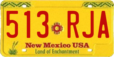 NM license plate 513RJA