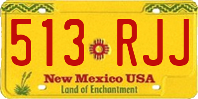 NM license plate 513RJJ