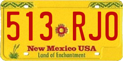 NM license plate 513RJO