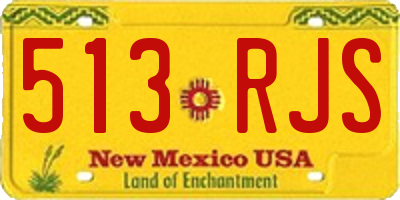 NM license plate 513RJS