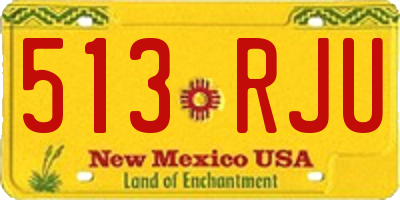 NM license plate 513RJU