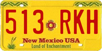 NM license plate 513RKH