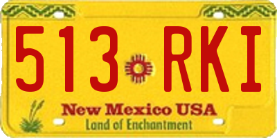 NM license plate 513RKI