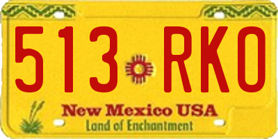 NM license plate 513RKO