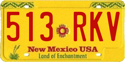 NM license plate 513RKV