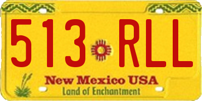 NM license plate 513RLL