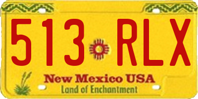 NM license plate 513RLX