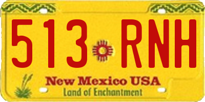 NM license plate 513RNH