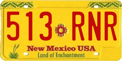 NM license plate 513RNR