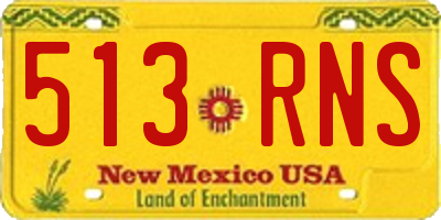 NM license plate 513RNS