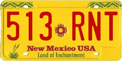 NM license plate 513RNT