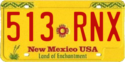 NM license plate 513RNX