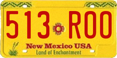 NM license plate 513ROO