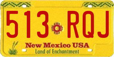 NM license plate 513RQJ