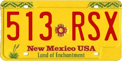 NM license plate 513RSX
