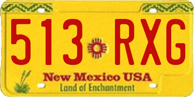 NM license plate 513RXG