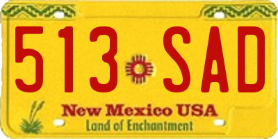 NM license plate 513SAD