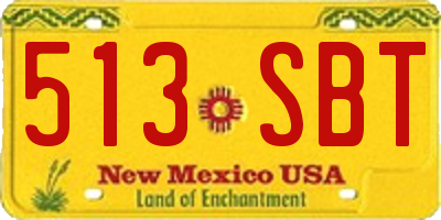 NM license plate 513SBT