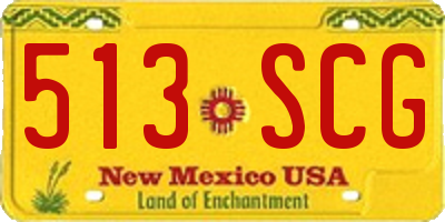 NM license plate 513SCG