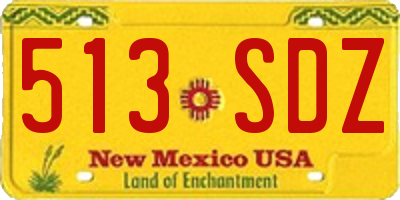 NM license plate 513SDZ