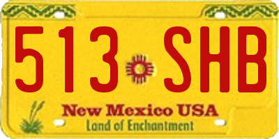 NM license plate 513SHB