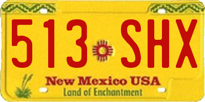NM license plate 513SHX
