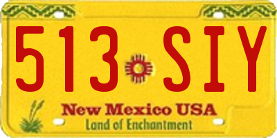 NM license plate 513SIY