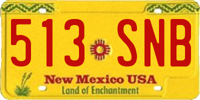 NM license plate 513SNB