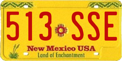 NM license plate 513SSE