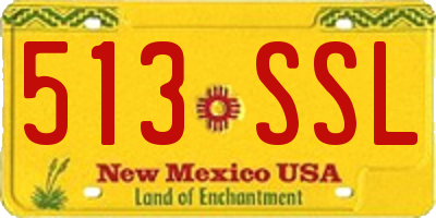 NM license plate 513SSL