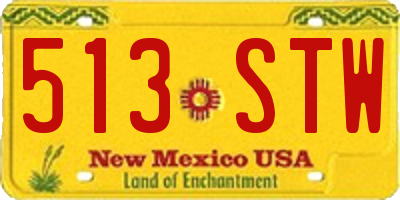 NM license plate 513STW