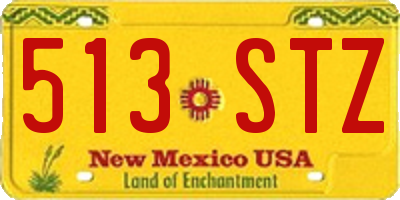 NM license plate 513STZ