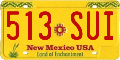 NM license plate 513SUI
