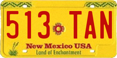 NM license plate 513TAN