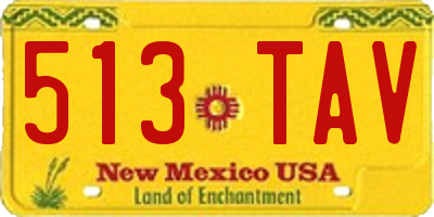 NM license plate 513TAV