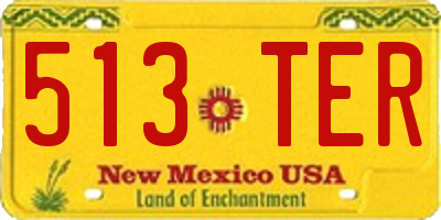 NM license plate 513TER