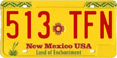 NM license plate 513TFN