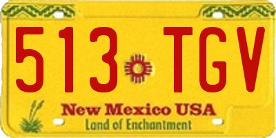 NM license plate 513TGV