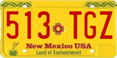 NM license plate 513TGZ