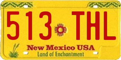 NM license plate 513THL