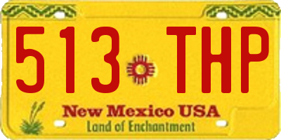 NM license plate 513THP