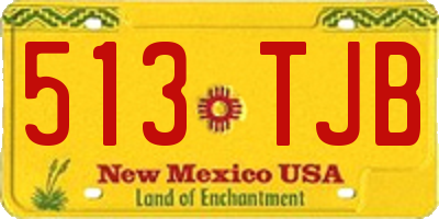 NM license plate 513TJB
