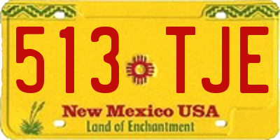 NM license plate 513TJE